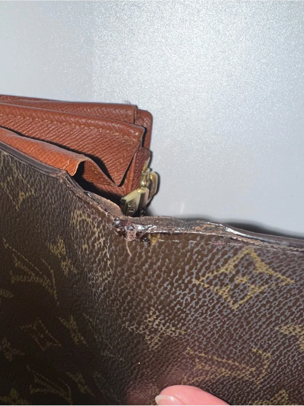 Louis Vuitton classic louis